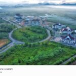 Dishut Lakukan Penyulaman Bibit Eucalyptus, Ciptakan Forest City sebagai Ikon Hijau di Pusat Pemerintahan Kalsel
