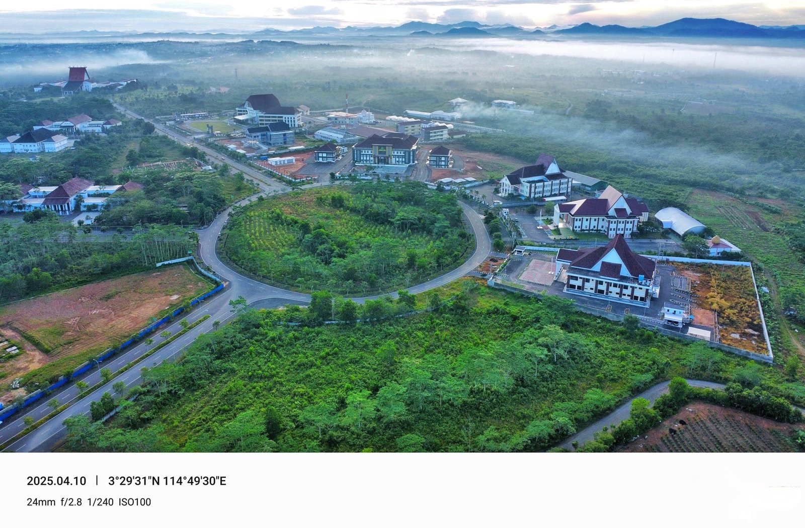 Dishut Lakukan Penyulaman Bibit Eucalyptus, Ciptakan Forest City sebagai Ikon Hijau di Pusat Pemerintahan Kalsel