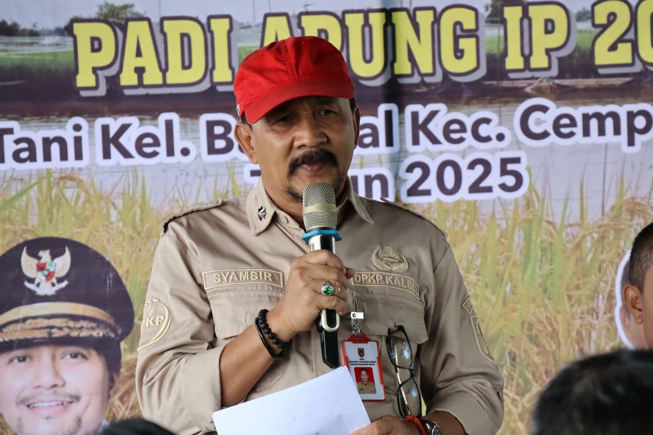 Panen Padi Apung di Banjarbaru, Wujudkan Ketahanan Pangan dan Kesejahteraan Petani