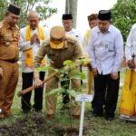 Gubernur Kalsel Turut Menyukseskan Gerakan Penanaman 1 Juta Pohon Matoa se-Indonesia