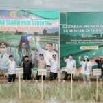 Tanam Padi Serentak Bersama Presiden, Kegiatan di Kalsel Dipusatkan di Tanbu dan Dipimpin Bupati Andi Rudi Latif