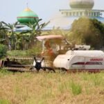 Hingga April 2025, Bulog Kalsel Catat Realisasi Serapan Gabah dari Petani Capai 7.400 Ton