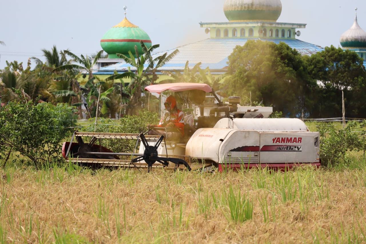 Hingga April 2025, Bulog Kalsel Catat Realisasi Serapan Gabah dari Petani Capai 7.400 Ton