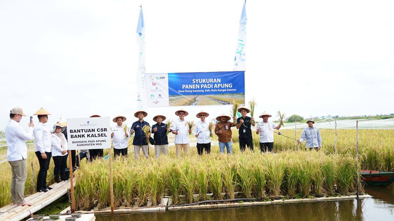 Inovasi Padi Apung Tunjukkan Hasil   Menggembirakan, Kalsel Gelar Syukuran Panen Padi Apung di Desa Siang Gantung‎