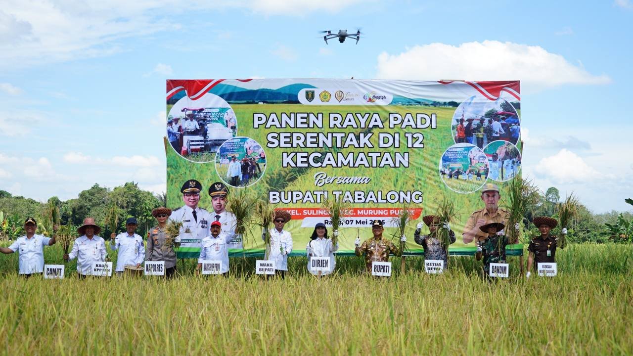 Panen Raya Padi di Tabalong, Sinergi Pemerintah dan Petani Mewujudkan Ketahanan Pangan