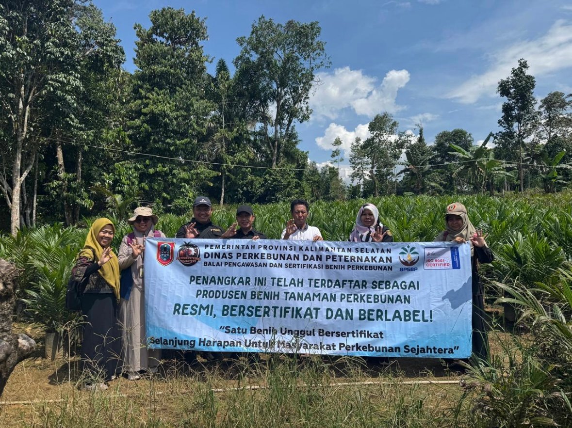 BPSBP Disbunnak Kalsel Perkuat Implementasi ISPO dengan Menyediakan Benih Kelapa Sawit Unggul, Bersertifikat dan Berlabel