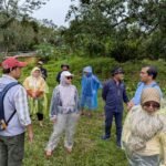 Dishut Kalsel Rencanakan Penanaman Mangrove di Desa Sabuhur Kabupaten Tanah Laut