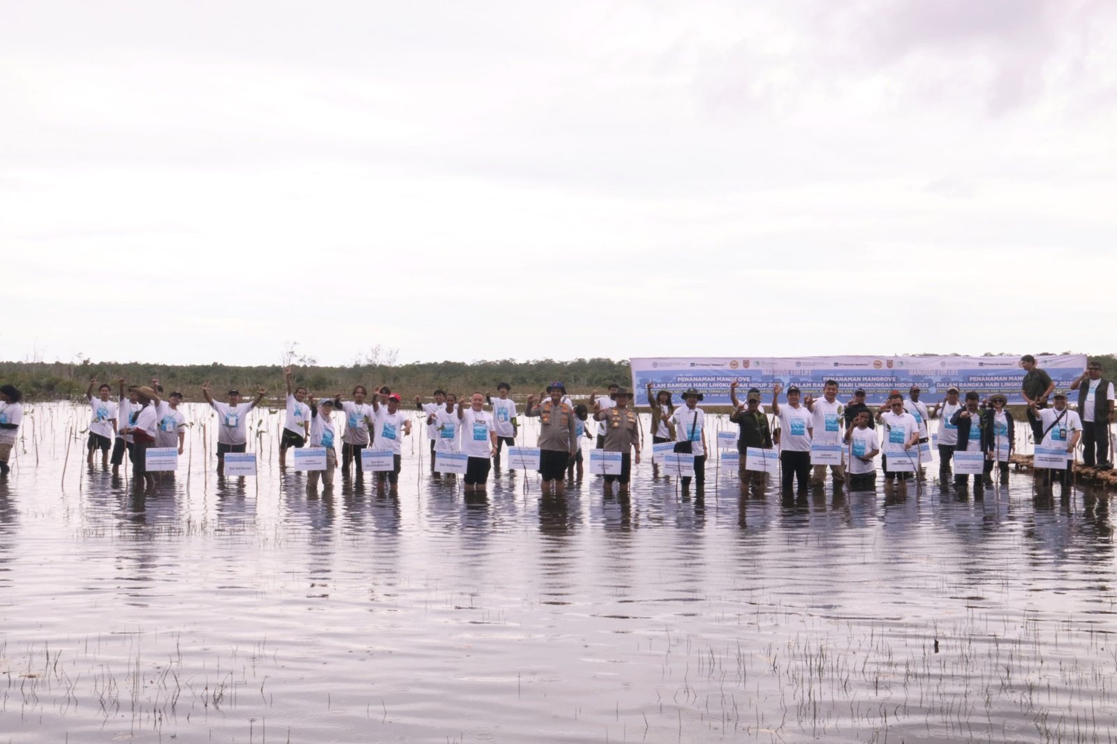 KLH Bersama Kelompok Tani Hutan Tambak Sabalai Menanam Mangrove di Kabupaten Tanah Laut