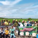  Cegah Serangan Hama, BPTPH Kalsel Intensifkan Penyuluhan dan Pengawasan pada Musim Kemarau 