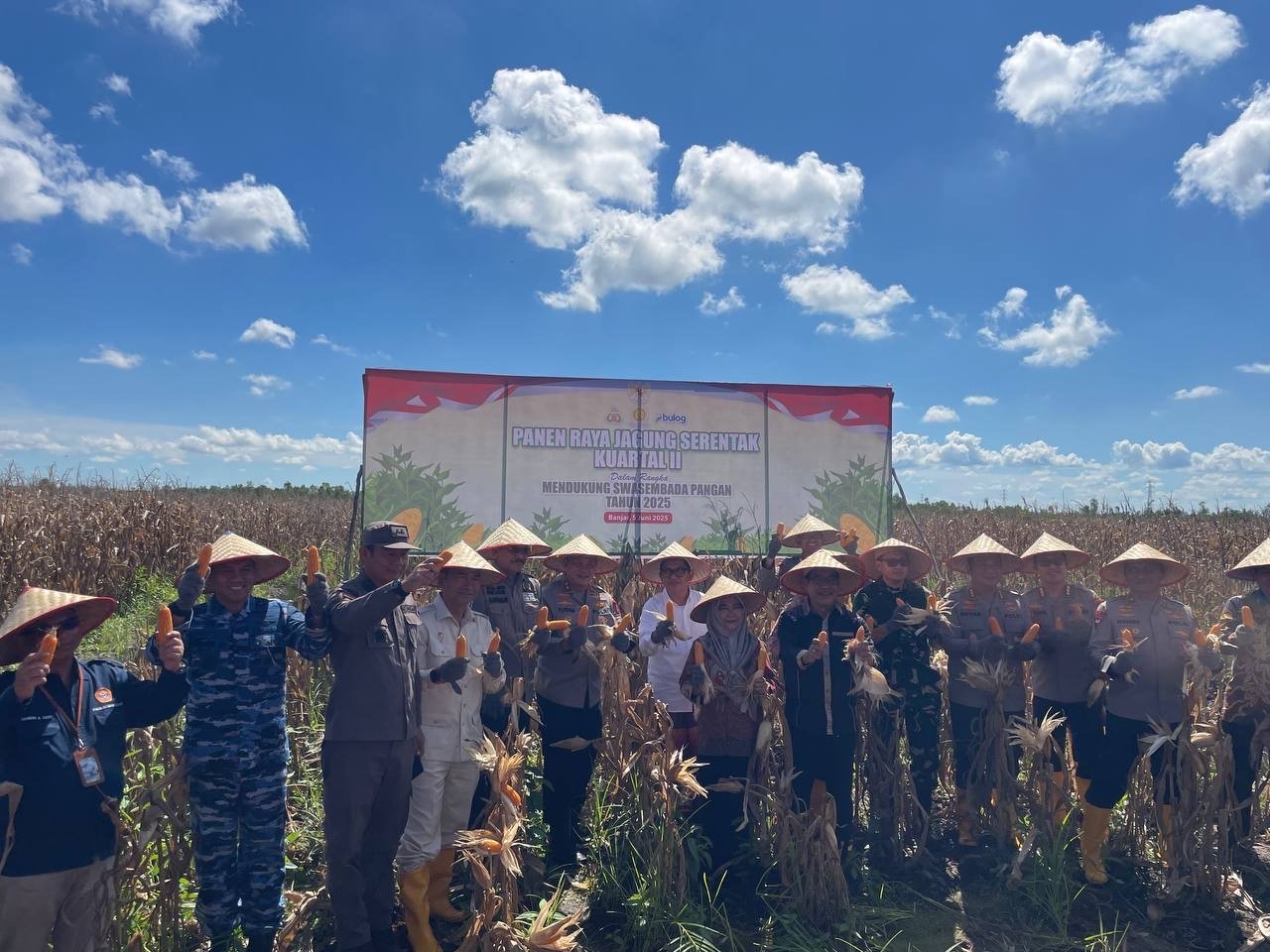 Dukung Swasembada Pangan, Polda Kalsel Panen Raya Jagung Serentak Kuartal II