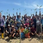 Sepanjang 2025, Pemprov Kalsel Rehabilitasi Seluas Hampir 8.000 Hektare Tanaman Mangrove