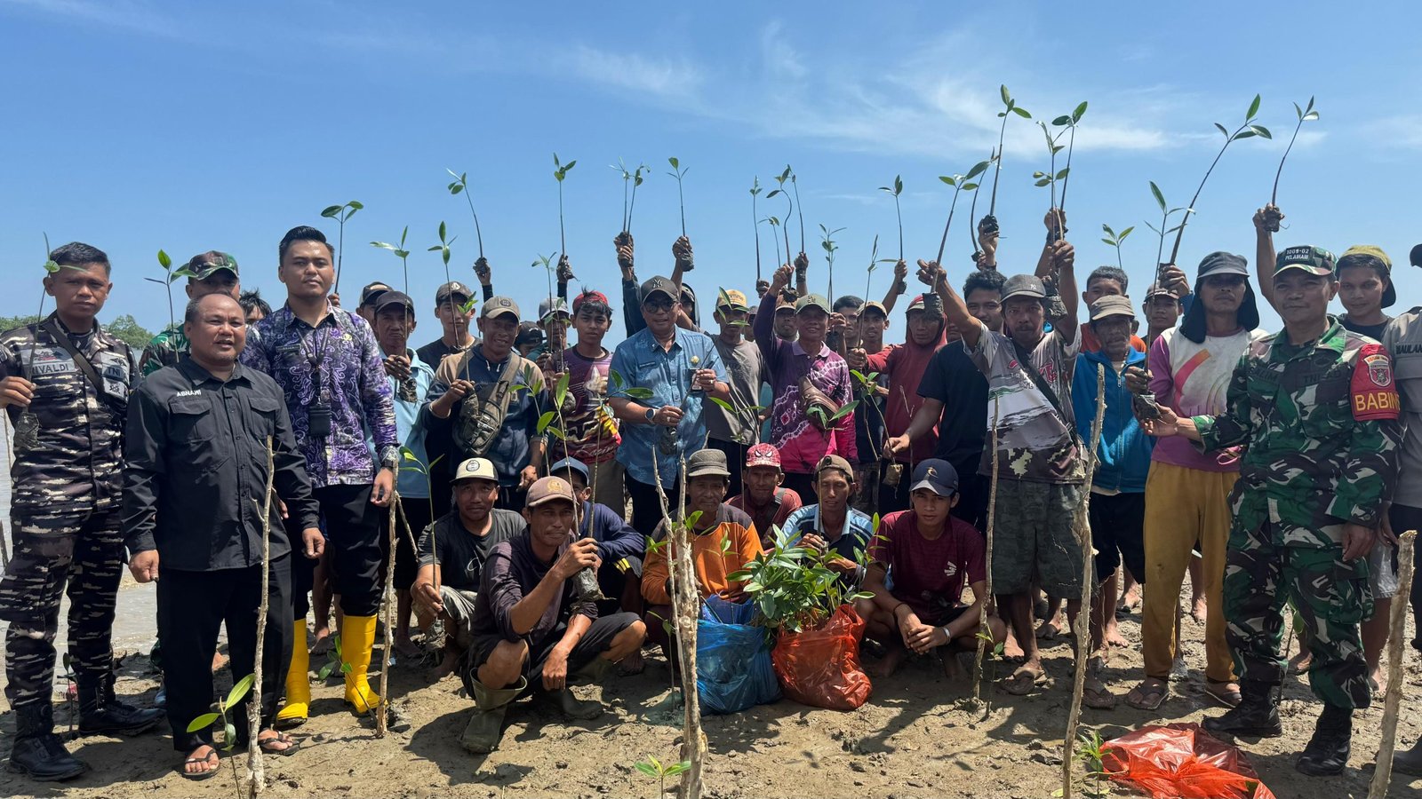 Sepanjang 2025, Pemprov Kalsel Rehabilitasi Seluas Hampir 8.000 Hektare Tanaman Mangrove