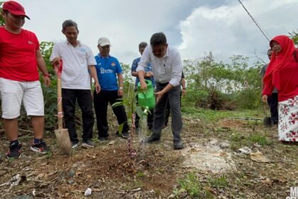 Diskominfo Kalsel Tanam Bibit Pohon Sambut Hari Jadi ke-75 Provinsi dan HUT ke-80 RI