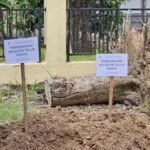Pemprov Kalsel Berkomitmen Jaga Kelestarian Penyu Laut