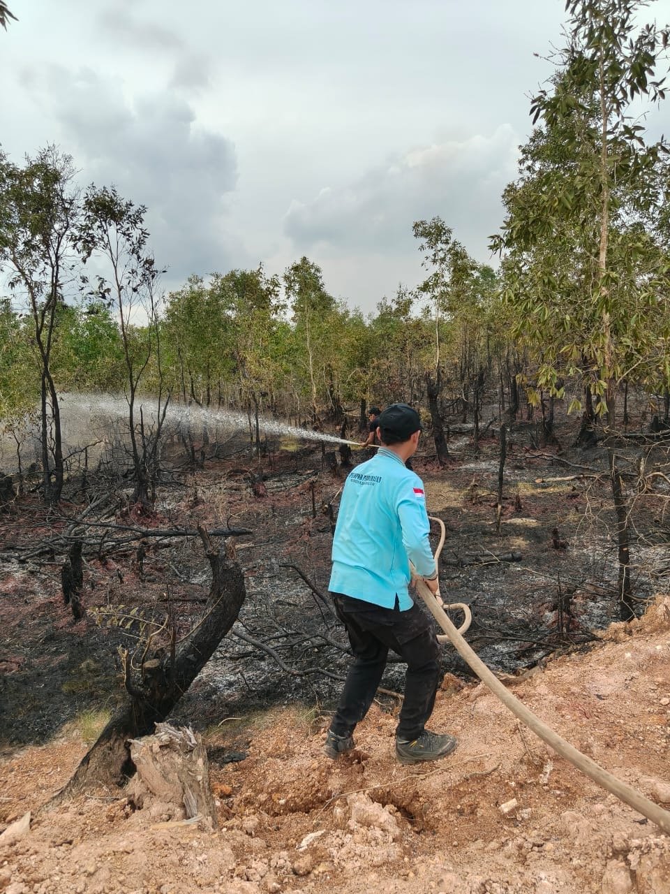 Status Darurat Karhutla Berakhir di 30 September, Dinsos Kalsel Pastikan Kesiapsiagaan Tetap Dilakukan