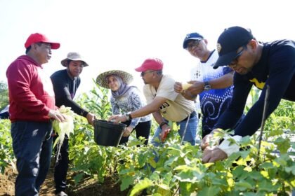 Panen Perdana Bukit Merangkul, DPKP Kalsel Gaungkan Semangat Ketahanan Pangan