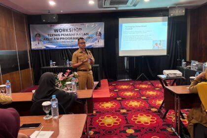 Dinkes Kalsel Gelar Workshop Teknis Pemanfaatan Aplikasi Program Kesehatan Reproduksi
