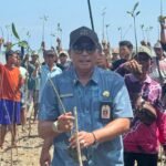 DKP Kalsel Perkenalkan Program Rehabilitasi Pesisir Metode Hybrid Engineering