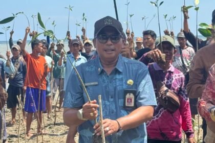 DKP Kalsel Perkenalkan Program Rehabilitasi Pesisir Metode Hybrid Engineering