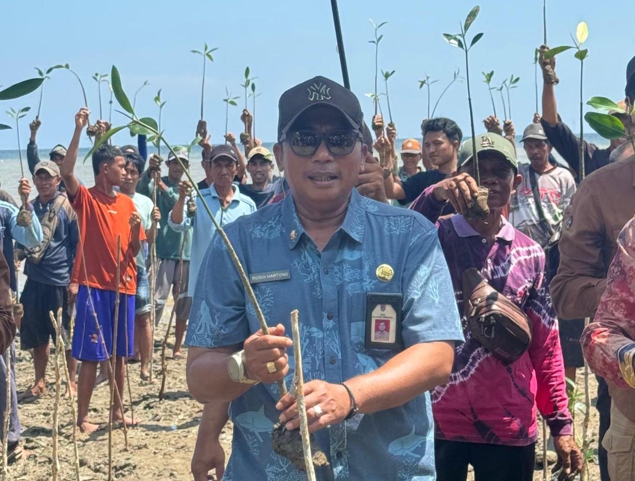 DKP Kalsel Perkenalkan Program Rehabilitasi Pesisir Metode Hybrid Engineering