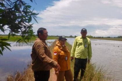 BPTPH Kalsel Gerak Cepat Bantu Petani Banjarbaru Hadapi Dampak Cuaca Ekstrem