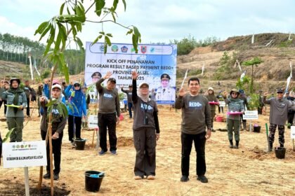 Kick Off Program REDD+, Dishut Kalsel Tanami Lahan Tidur di Cempaka