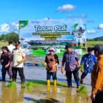 DPKP Kalsel Fokus Kuatkan Pangan Lewat Tujuh Program Prioritas 2026