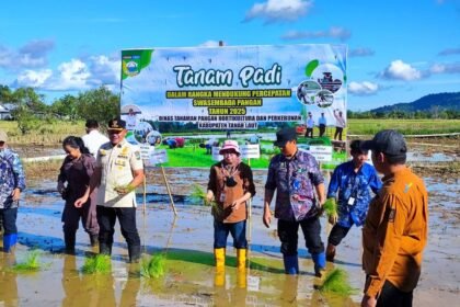 DPKP Kalsel Fokus Kuatkan Pangan Lewat Tujuh Program Prioritas 2026