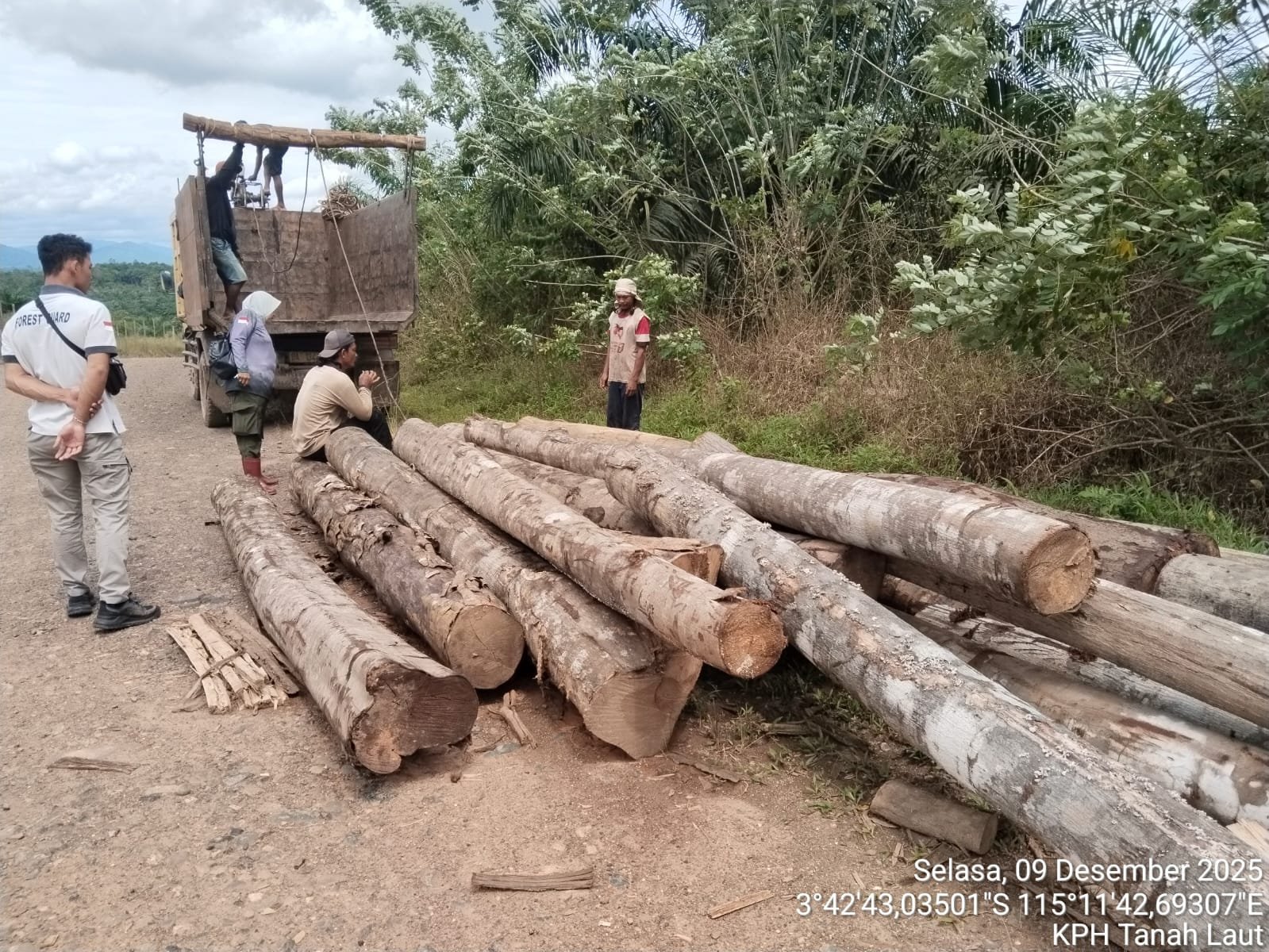 KPH Tanah Laut Amankan Puluhan Batang Kayu Hasil Penebangan Ilegal