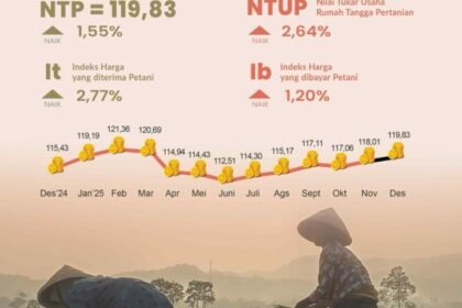 Desember 2025, BPS Catat NTP Kalsel Naik 1,55 Persen dibandingkan NTP November 2025