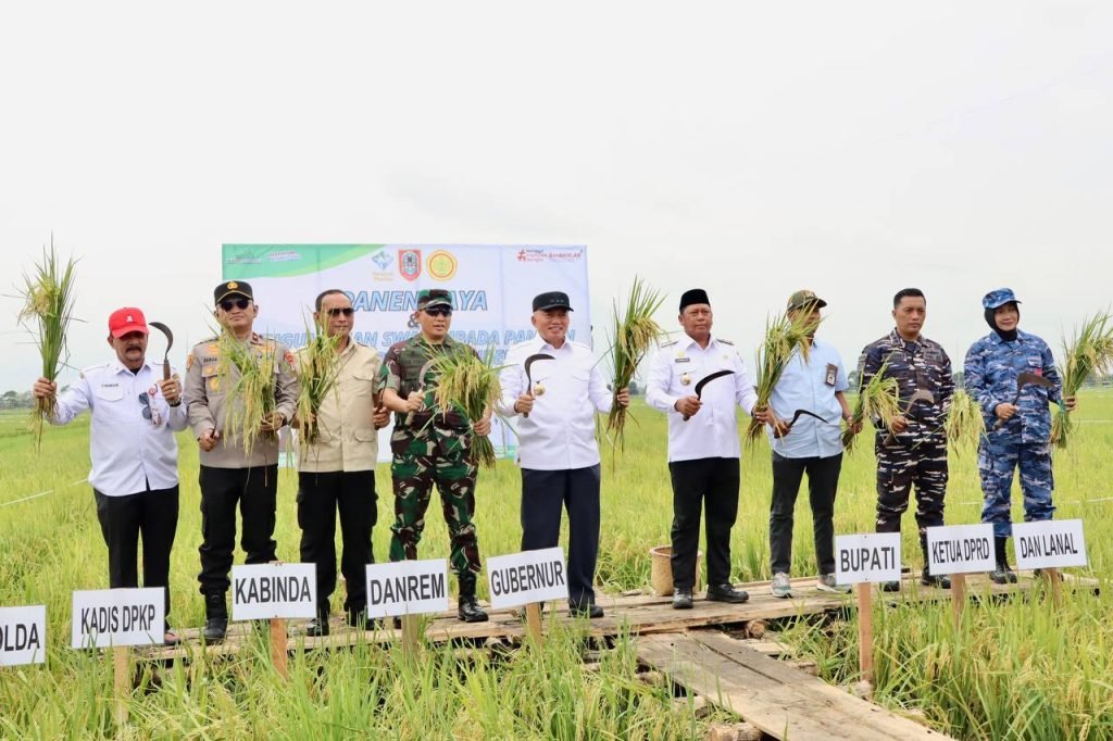 Gubernur Kalsel Panen Raya di Batola, Produksi Padi Kalsel Tertinggi di Kalimantan