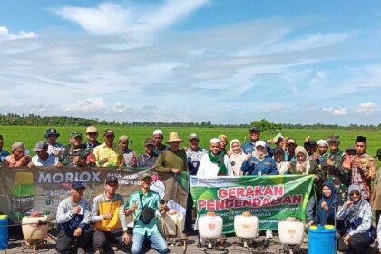 Pasca Banjir, BPTPH Kalsel Perkuat Pengendalian Hama Tikus pada Musim Tanam