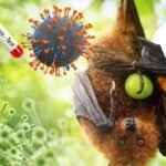 Belum Ditemukan Kasus Virus Nipah, Pemprov Kalsel Tetap Perkuat Kesiapsiagaan Sistem Kesehatan