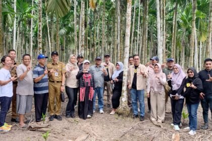 Perkuat Program BioCF, Dishut Kalsel Pelajari Pinang Betara Varietas Unggul Nasional