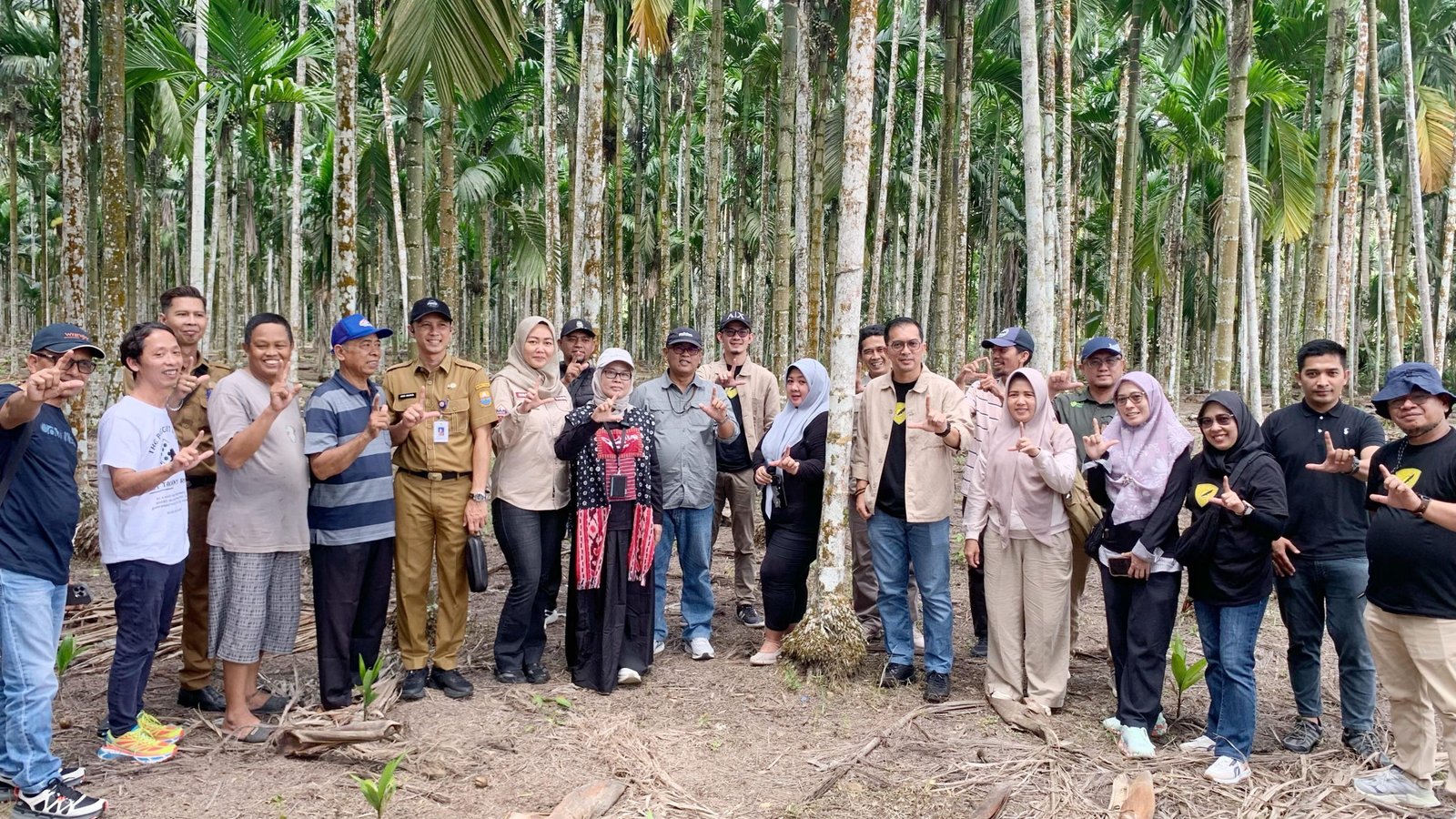 Perkuat Program BioCF, Dishut Kalsel Pelajari Pinang Betara Varietas Unggul Nasional