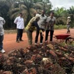 Percepat Pembangunan Sektor Pertenakan dan Perkebunan, Disbunnak Kalsel Perkuat Ketahanan Pangan dan Energi Daerah