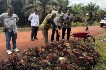 Percepat Pembangunan Sektor Pertenakan dan Perkebunan, Disbunnak Kalsel Perkuat Ketahanan Pangan dan Energi Daerah