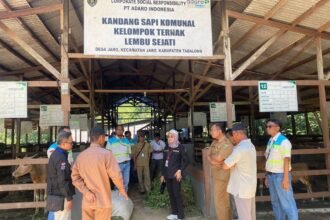 Pemprov Kalsel Perkuat Program Strategis Menuju Swasembada Daging