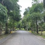 Kebun Raya Banua Percepat Konektivitas Kawasan, Jembatan Ditargetkan Selesai 2026