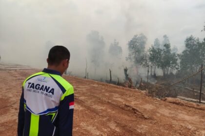 Masuk Musim Kemarau, Dinsos Kalsel Perkuat Kesiapsiagaan Karhutla