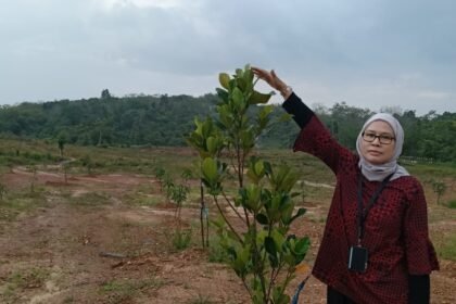 Program REDD+ Kalsel Tunjukkan Hasil Positif, Kadishut Lakukan Monitoring