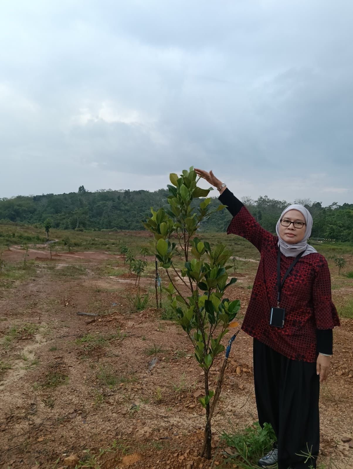 Program REDD+ Kalsel Tunjukkan Hasil Positif, Kadishut Lakukan Monitoring