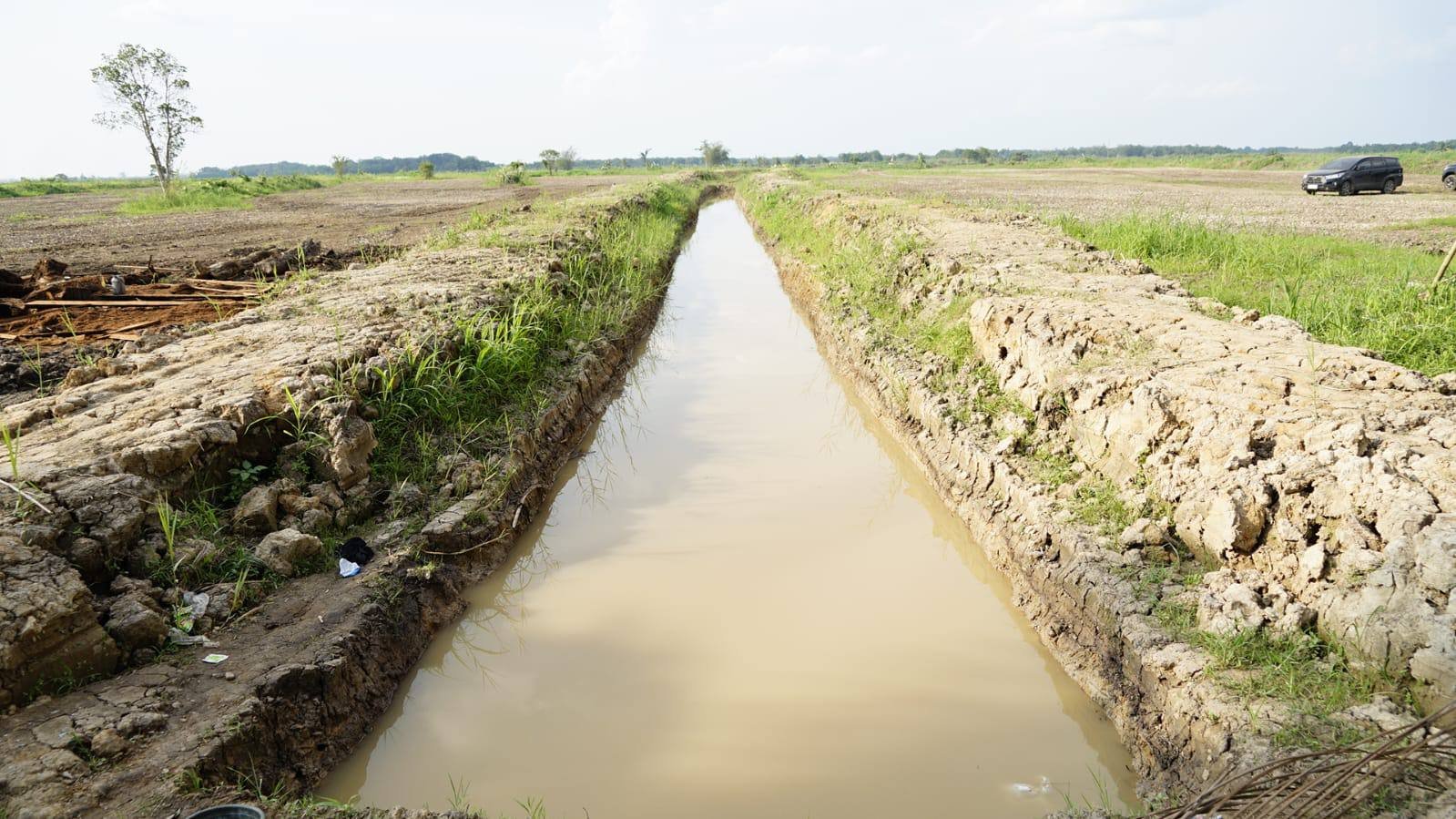 Pemprov Kalsel Perkuat Irigasi Persawahan Hadapi Ancaman Kemarau 2026