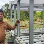 BBTPH Kalsel Kembangkan Inovasi Hidroponik untuk Pembenihan Cabai dan Tomat