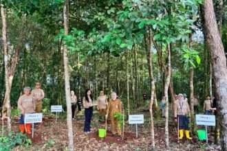 Pemprov Kalsel Dorong Gerakan Penghijauan pada Penanaman Pohon HUT ke-43 BPKP