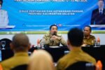 Distribusi dan Pasokan Pangan Jadi Fokus, Kalsel Perkuat Peran Penggilingan Padi