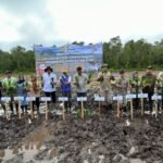 Gerakan Tanam Padi di Sungai Tabuk, DPKP Kalsel Dukung Percepatan Swasembada Pangan