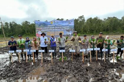 Gerakan Tanam Padi di Sungai Tabuk, DPKP Kalsel Dukung Percepatan Swasembada Pangan