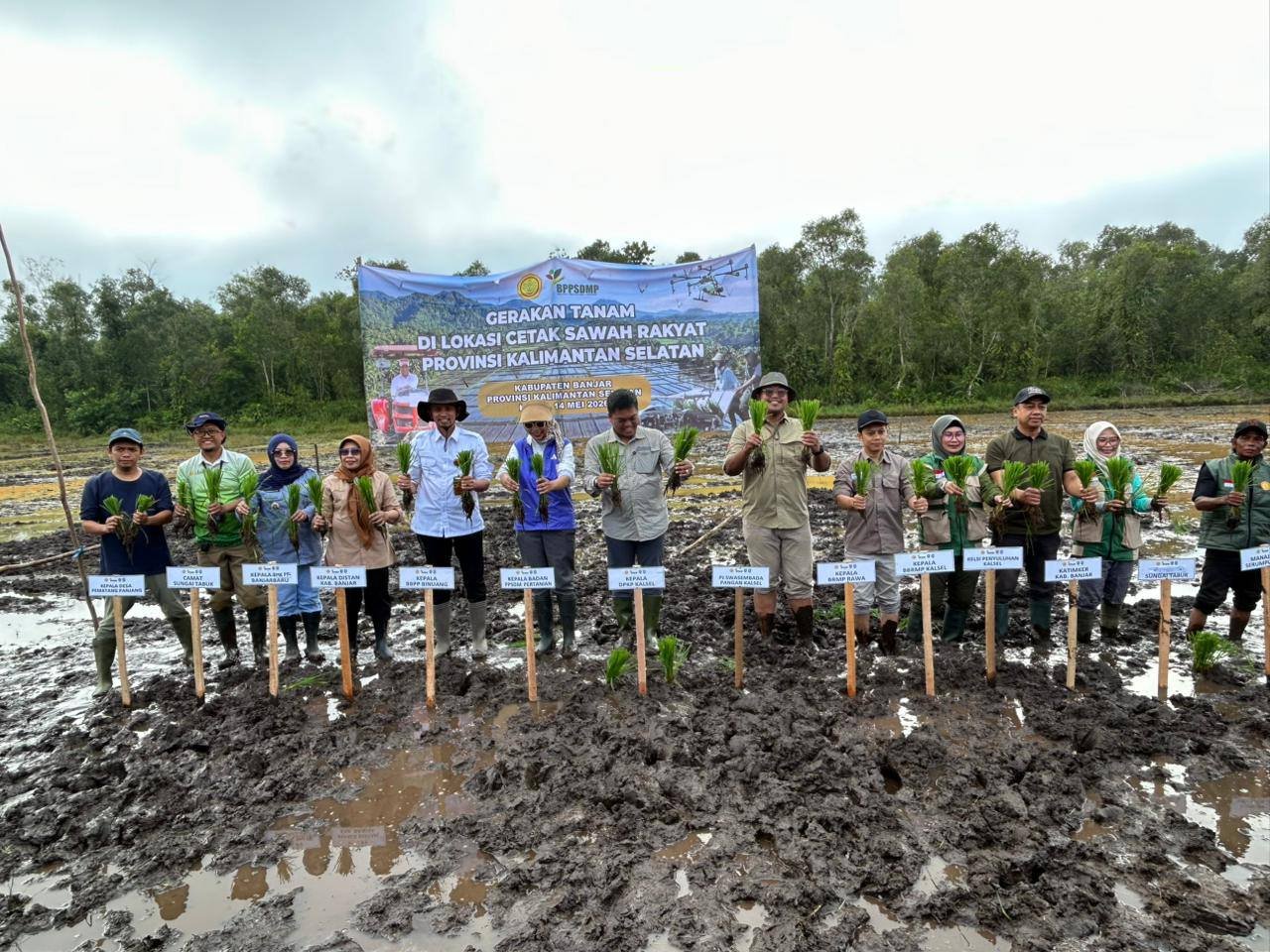 Gerakan Tanam Padi di Sungai Tabuk, DPKP Kalsel Dukung Percepatan Swasembada Pangan