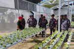 Perkuat Ketahanan Pangan, TNI AL Bersama DPKP Kalsel Kembangkan Pertanian Terpadu